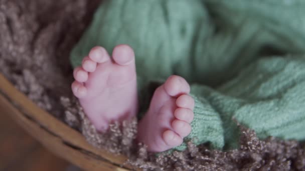 Close-up portræt af en ung baby, der for nylig er født. Nyfødte spædbarn dreng på studiet. – Stock-video