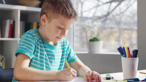 Το αγόρι κάνει τις εργασίες του στο τραπέζι. Το χαριτωμένο παιδί μαθαίνει στο σπίτι με τη βοήθεια των εγχειριδίων και των σχολικών υλικών. Σπουδές και Εκπαίδευση Έννοια. — Αρχείο Βίντεο