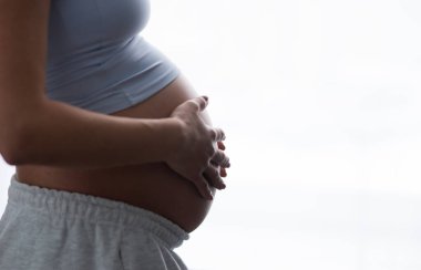 Genç hamile kadın evde dinleniyor ve bebek bekliyor. Hamilelik, annelik, sağlık ve yaşam tarzı kavramı.