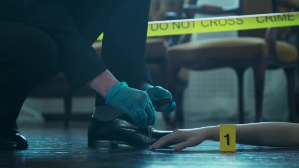 Detective Collecting Evidence in a Crime Scene. Forensic Specialists Making Expertise at Home of a Dead Person. Homicide Investigation by Police Officer. — Video