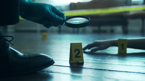 Kriminalbetjent samler beviser i et gerningssted. Retsmedicinske specialister gør ekspertise i hjemmet af en død person. Politibetjents drabsefterforskning. – Stock-video