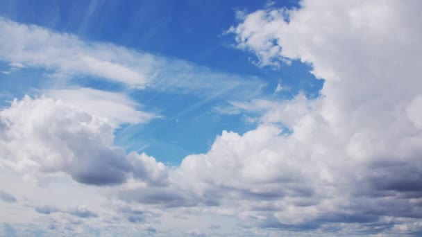 Timelapse Cumulus Clouds Flying High Beautiful Blue Sky Англійською Природа — стокове відео