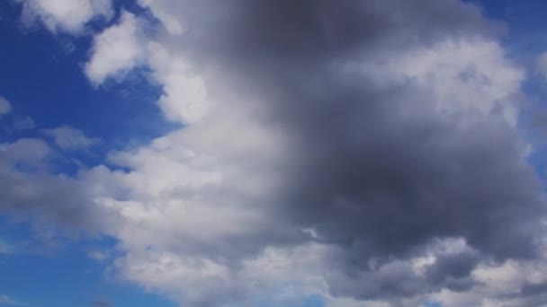Timelapse Cumulus Clouds Flying High Blue Sky Nature Storm Concept — Video