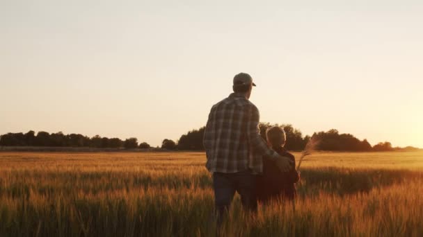 Boy Front Sunset Agricultural Landscape Kid Countryside Field Concept Childhood — Video Stock
