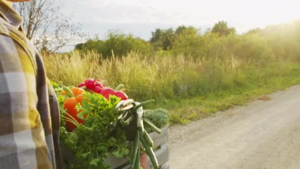 Farmer Vegetable Box Man Walking Countryside Field Concept Country Life — Vídeo de Stock