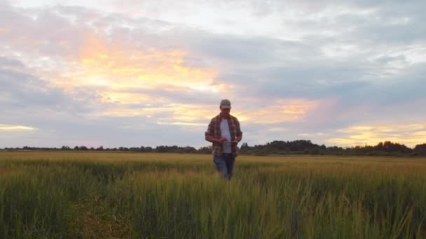 Boer Met Een Tablet Computer Voor Een Zonsondergang Agrarisch Landschap — Stockvideo