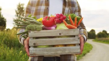 Sebze kutusu olan bir çiftçi. Kırsal alanda yürüyen bir adam. Kır hayatı, gıda üretimi, tarım ve kırsal yaşam tarzı kavramı.
