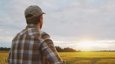 Günbatımı tarımının önündeki çiftçi. Kırsal kesimde bir adam. Kır hayatı, gıda üretimi, tarım ve kırsal yaşam tarzı kavramı.