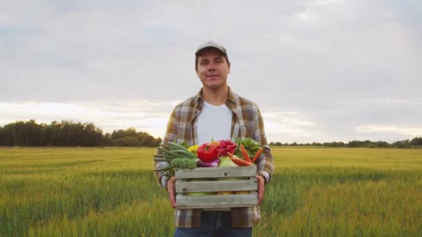 Farmer Vegetable Box Front Sunset Agricultural Landscape Man Countryside Field — Wideo stockowe