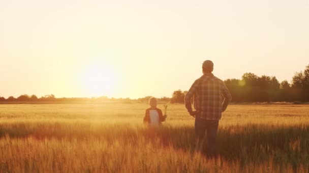 Farmer His Son Front Sunset Agricultural Landscape Man Boy Countryside — 图库视频影像