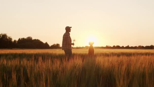 Farmer His Son Front Sunset Agricultural Landscape Man Boy Countryside — Vídeo de Stock