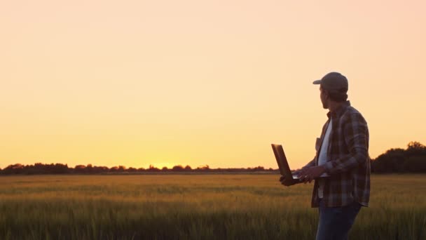 Farmer Laptop Computer Front Sunset Agricultural Landscape Man Countryside Field — Vídeo de Stock