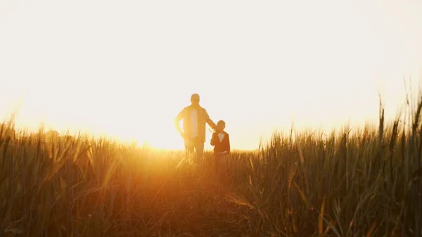 Farmer His Son Front Sunset Agricultural Landscape Man Boy Countryside — Fotografia de Stock