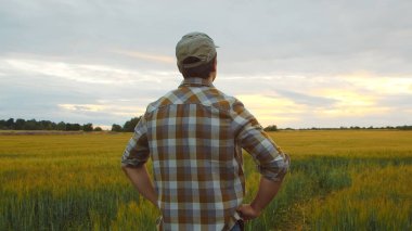 Günbatımı tarımının önündeki çiftçi. Kırsal kesimde bir adam. Kır hayatı, gıda üretimi, tarım ve kırsal yaşam tarzı kavramı.
