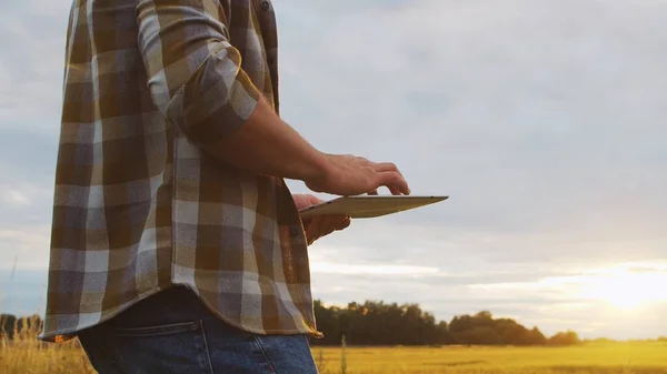Petani Dengan Komputer Tablet Depan Pemandangan Pertanian Matahari Terbenam Seorang — Stok Foto