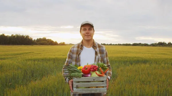 Farmer with a vegetable box in front of a sunset agricultural landscape. Man in a countryside field. The concept of country life, food production, farming and country lifestyle.