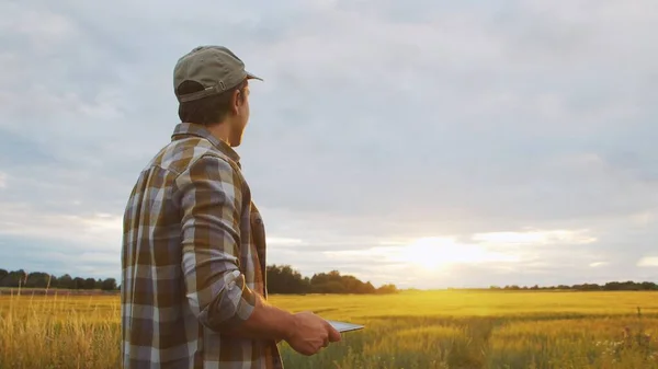 Boer Met Een Tablet Computer Voor Een Zonsondergang Agrarisch Landschap — Stockfoto