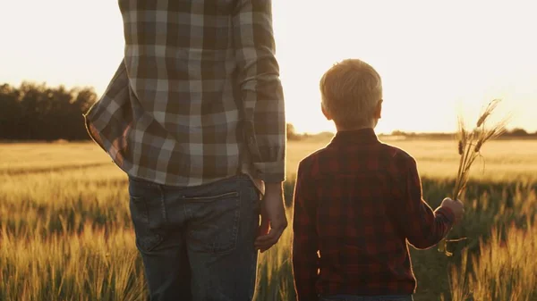 Farmer His Son Front Sunset Agricultural Landscape Man Boy Countryside — Foto de Stock