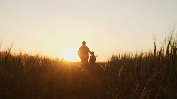 Boer Zijn Zoon Voor Een Zonsondergang Agrarisch Landschap Man Een — Stockfoto