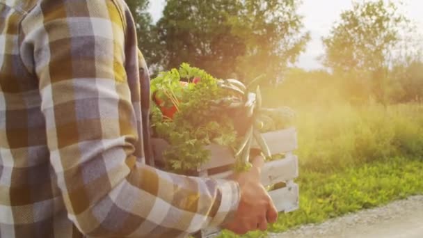 Farmer Vegetable Box Man Walking Countryside Field Concept Country Life — Vídeo de Stock