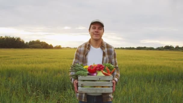 Farmer Vegetable Box Front Sunset Agricultural Landscape Man Countryside Field — Vídeo de Stock