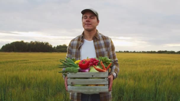 Farmer Vegetable Box Front Sunset Agricultural Landscape Man Countryside Field — Video Stock