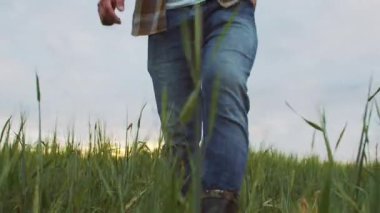 Farmer in front of a sunset agricultural landscape. Man walking in a countryside field. The concept of country life, food production, farming and country lifestyle.