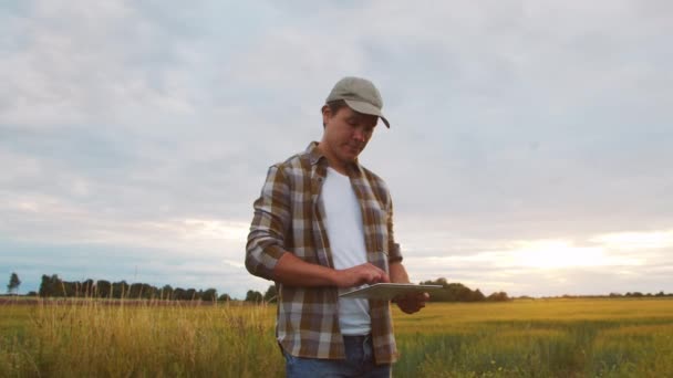 Farmer Tablet Computer Front Sunset Agricultural Landscape Man Countryside Field — Vídeo de Stock