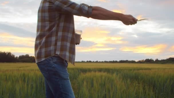Jordbrukare Planterar Frön Framför Ett Solnedgångs Jordbrukslandskap Man Landsbygden Begreppet — Stockvideo