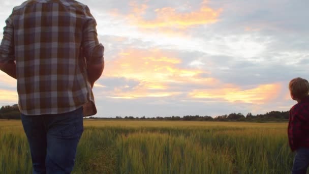 Farmer His Son Front Sunset Agricultural Landscape Man Boy Countryside — Stock Video