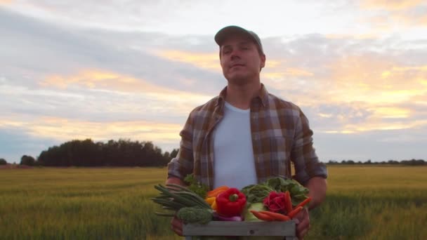 Farmer Vegetable Box Front Sunset Agricultural Landscape Man Countryside Field — ストック動画