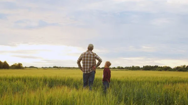 Farmer His Son Front Sunset Agricultural Landscape Man Boy Countryside — Φωτογραφία Αρχείου