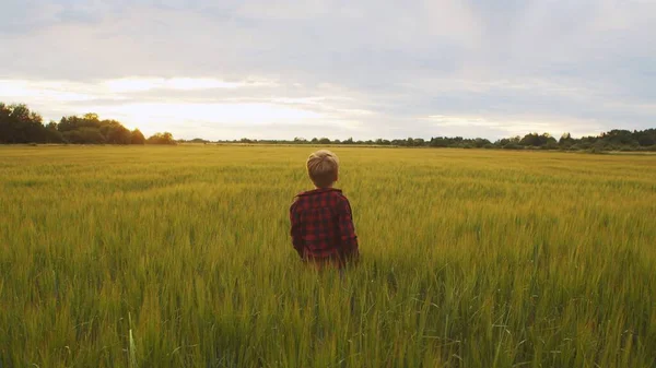 Boy Front Sunset Agricultural Landscape Kid Countryside Field Concept Childhood — Fotografia de Stock