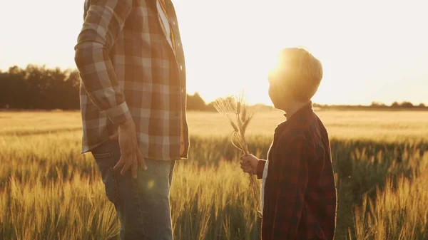 Boer Zijn Zoon Voor Een Zonsondergang Agrarisch Landschap Man Een — Stockfoto