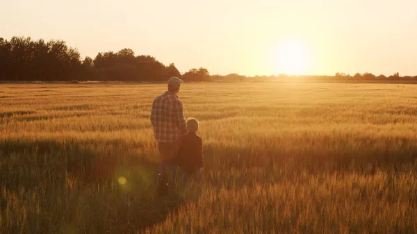 Farmer His Son Front Sunset Agricultural Landscape Man Boy Countryside — Stok fotoğraf