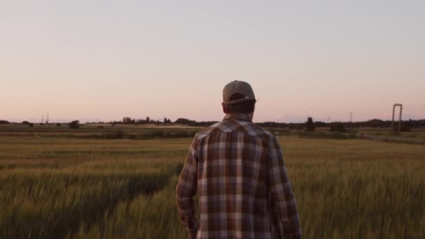 Farmer Front Sunset Agricultural Landscape Man Countryside Field Concept Country — стоковое видео