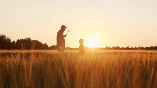 Farmer His Son Front Sunset Agricultural Landscape Man Boy Countryside — Photo