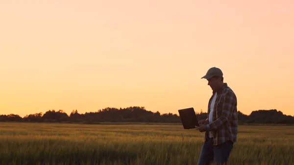Petani Dengan Komputer Laptop Depan Pemandangan Pertanian Matahari Terbenam Seorang — Stok Foto