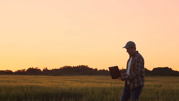 Farmer with a laptop computer in front of a sunset agricultural landscape. Man in a countryside field. The concept of country life, food production, farming and technology.