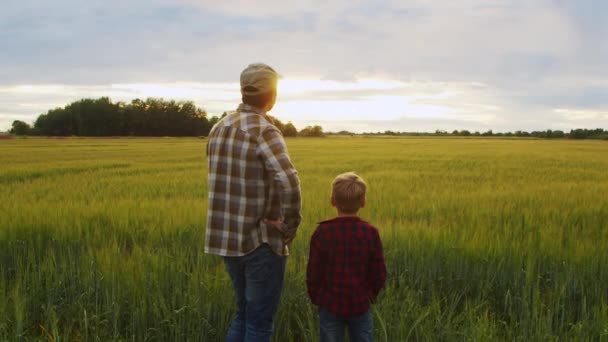 Farmer His Son Front Sunset Agricultural Landscape Man Boy Countryside — Vídeo de Stock