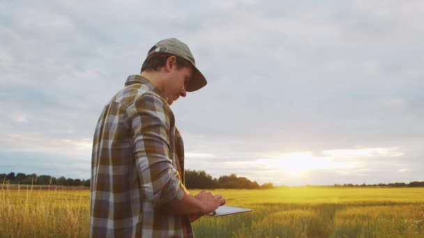 Farmer Tablet Computer Front Sunset Agricultural Landscape Man Countryside Field — Vídeo de Stock