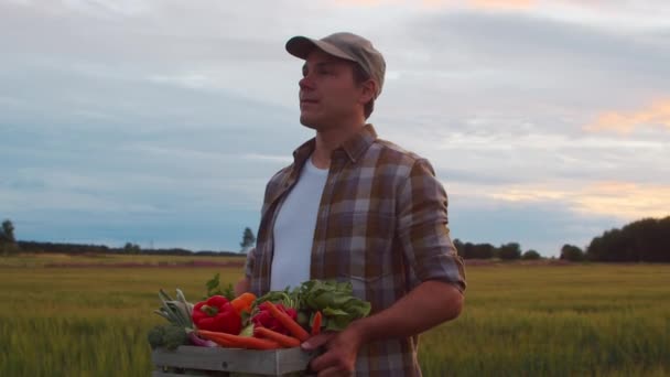 Farmer Vegetable Box Front Sunset Agricultural Landscape Man Countryside Field — стоковое видео