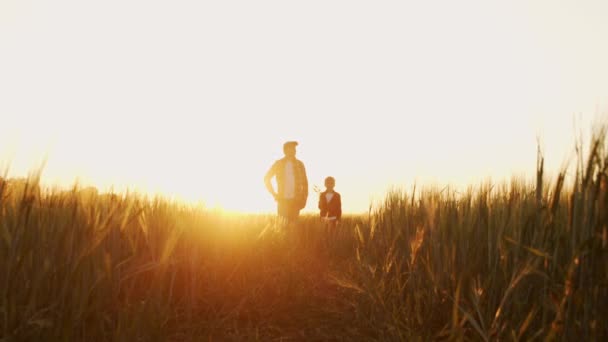 Farmer His Son Front Sunset Agricultural Landscape Man Boy Countryside — Stockvideo