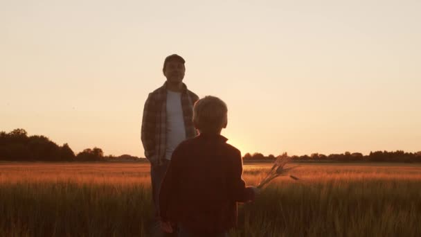 Farmer His Son Front Sunset Agricultural Landscape Man Boy Countryside — Vídeos de Stock