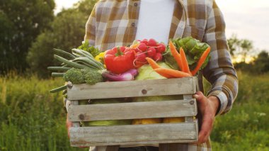 Farmer with a vegetable box in front of a sunset agricultural landscape. Man in a countryside field. The concept of country life, food production, farming and country lifestyle.
