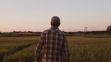 Günbatımı tarımının önündeki çiftçi. Kırsal kesimde bir adam. Kır hayatı, gıda üretimi, tarım ve kırsal yaşam tarzı kavramı.