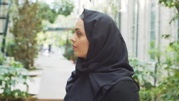 Portrait Young Confident Muslim Business Woman Hijab Middle Eastern Office — Wideo stockowe