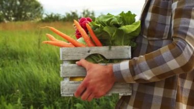 Farmer with a vegetable box. Man walking in a countryside field. The concept of country life, food production, farming and country lifestyle.
