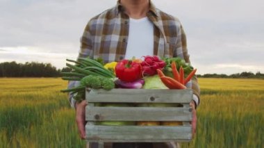 Gün batımında tarım arazisinin önünde sebze kutusu olan bir çiftçi. Kırsal kesimde bir adam. Kır hayatı, gıda üretimi, tarım ve kırsal yaşam tarzı kavramı.