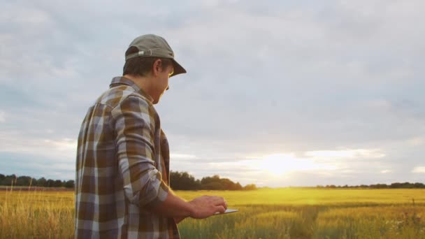 Farmer Tablet Computer Front Sunset Agricultural Landscape Man Countryside Field — Stock Video